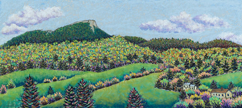 Camel's Hump Spring