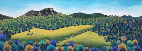 Camels Hump Summer