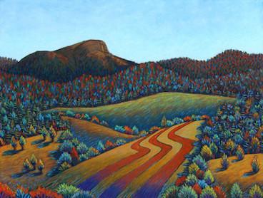 Camel's Hump Fields and Trees