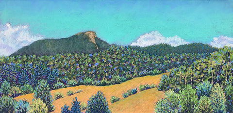 Camel's Hump 4th of July