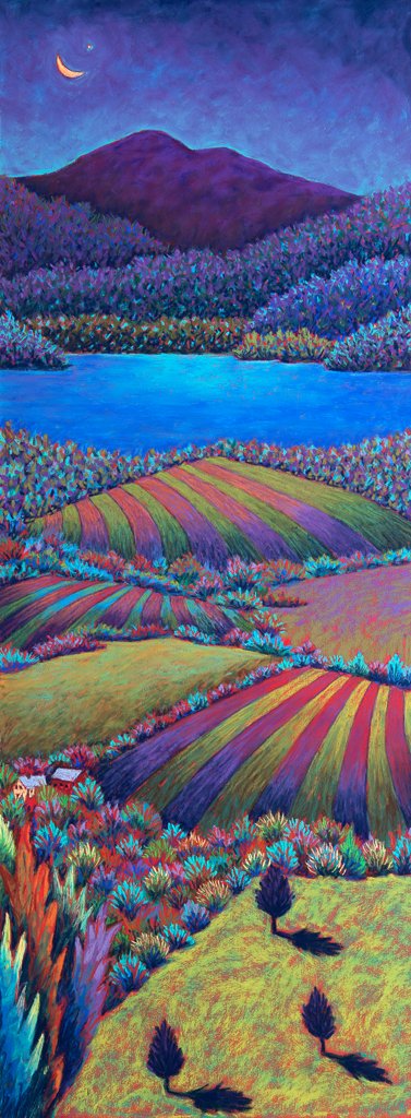 Evening Fields Over Lake Champlain