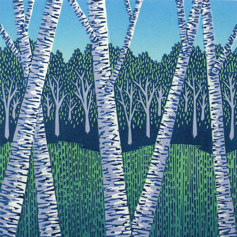 Field and Birches