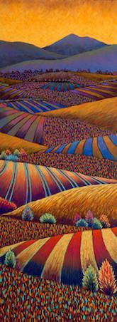 Golden Fields, Sunset