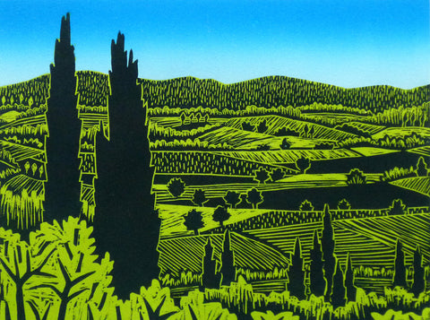 Paesaggio Di Torri