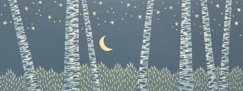 Soft Evening Birches