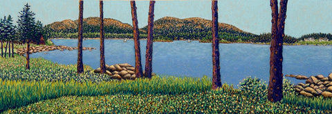 Southwest Harbor View