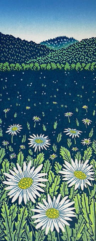 Summer Daisies