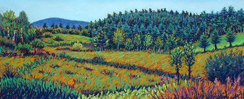 Summer Field