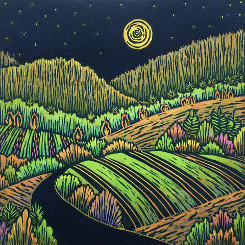 Warm Moonlit Fields