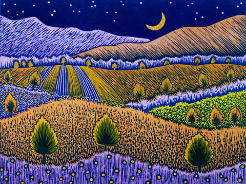 Dandelion Evening