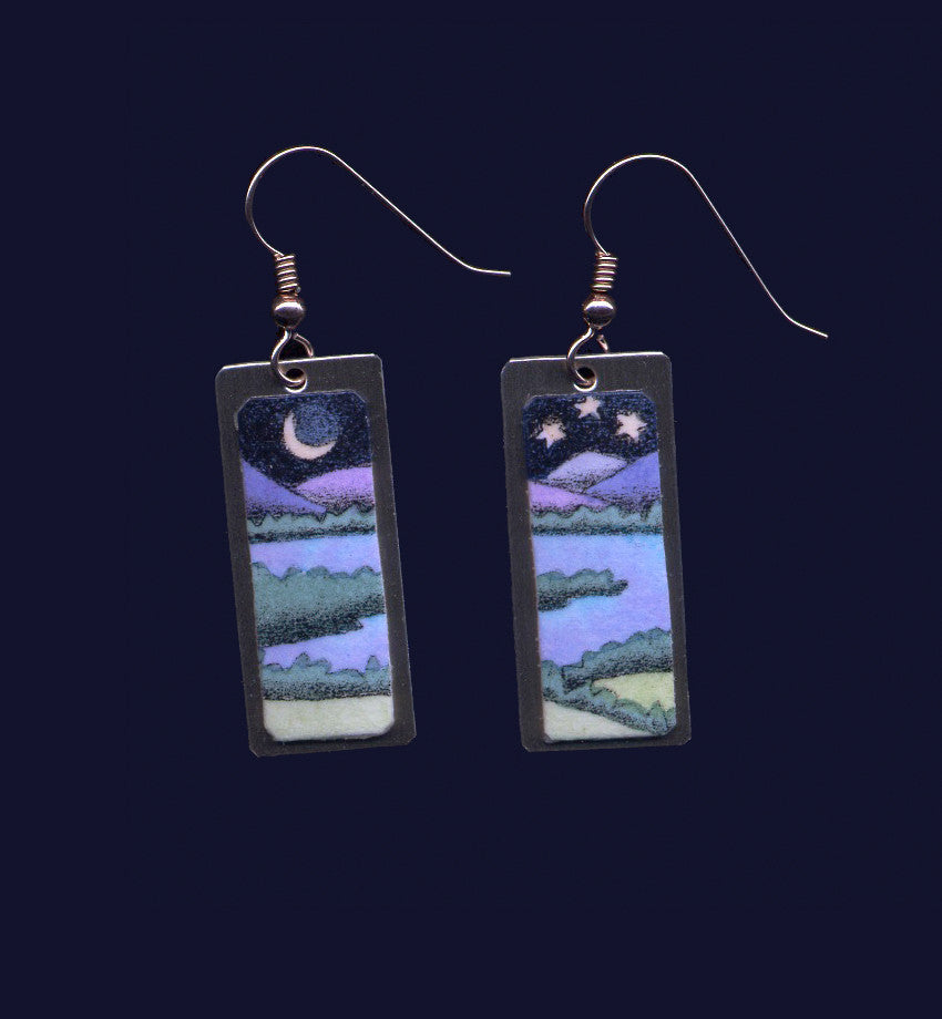 Night Water with Fields and Stars earrings by Daryl Storrs